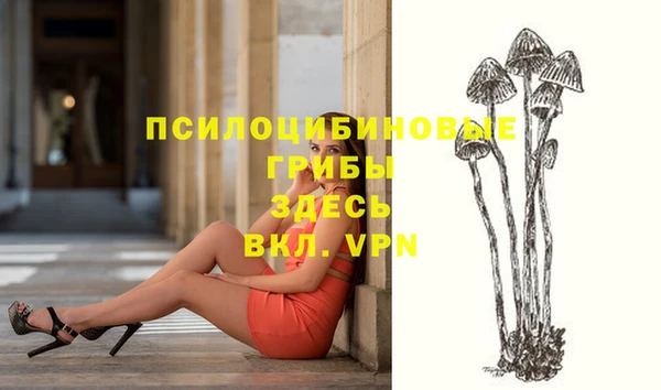 MDMA Premium VHQ Корсаков