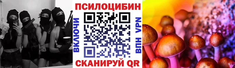 Псилоцибиновые грибы прущие грибы  Купить где  Березники 